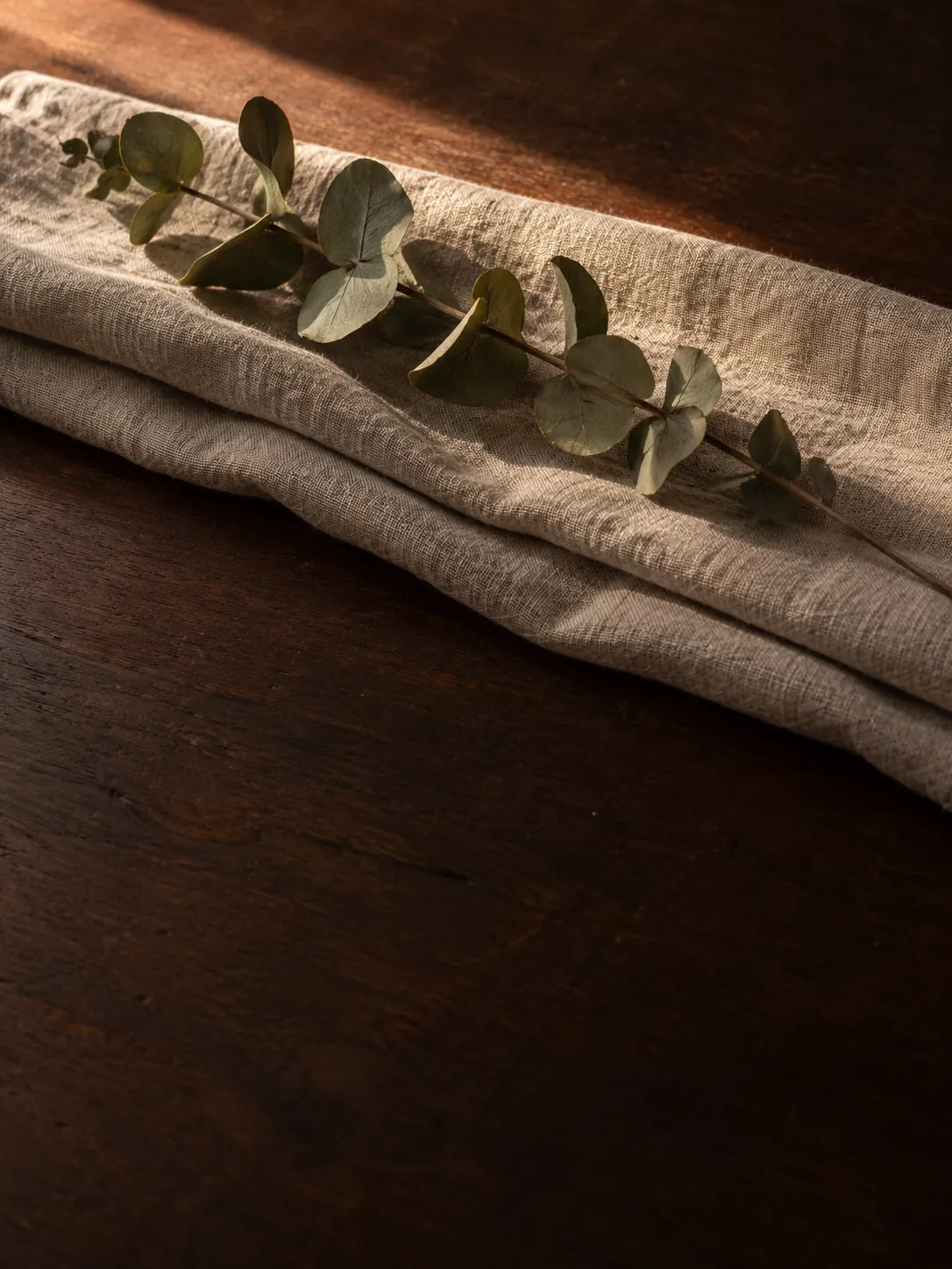A dried eucalyptus stem on folded raw linen, on a dark wood table